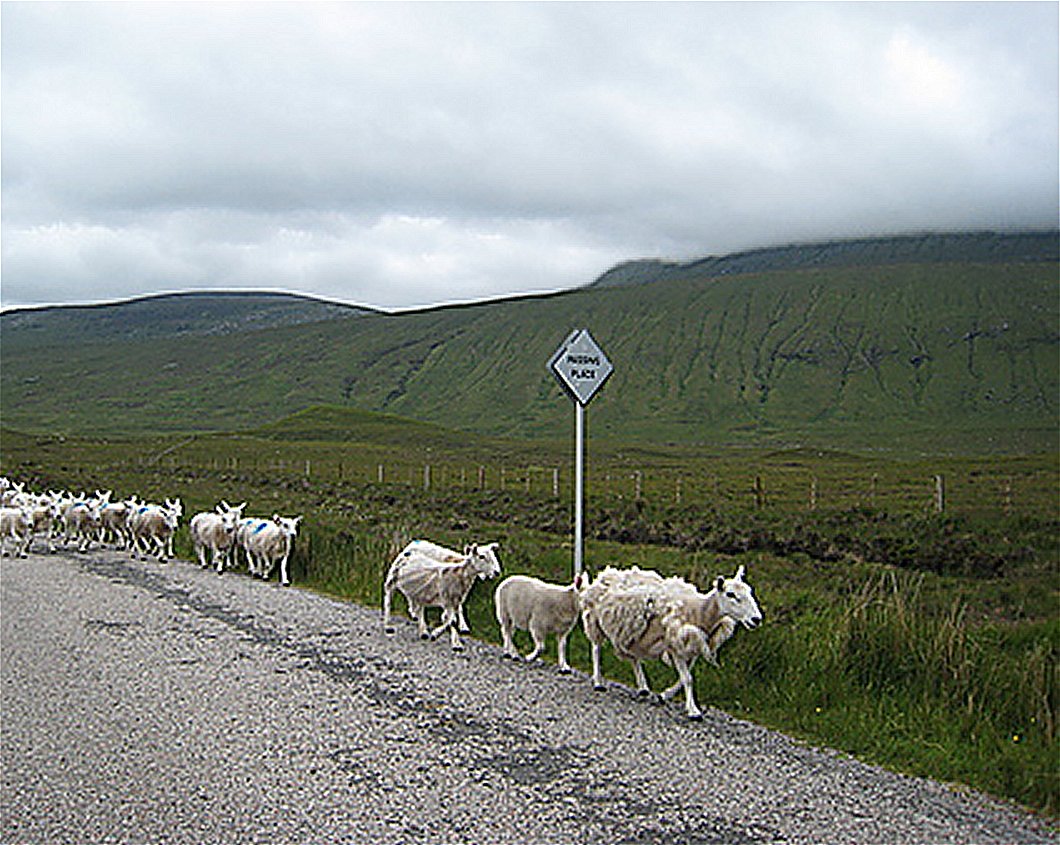LayBy in Northern Scotland